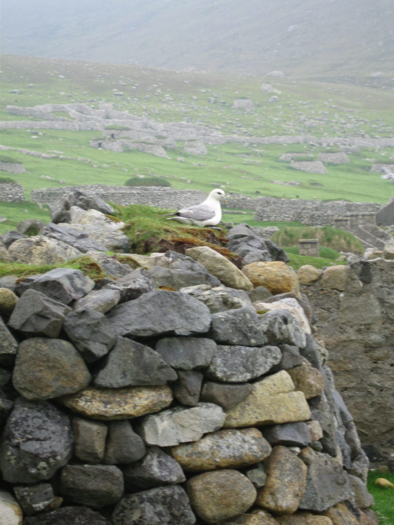 St Kilda Scotland