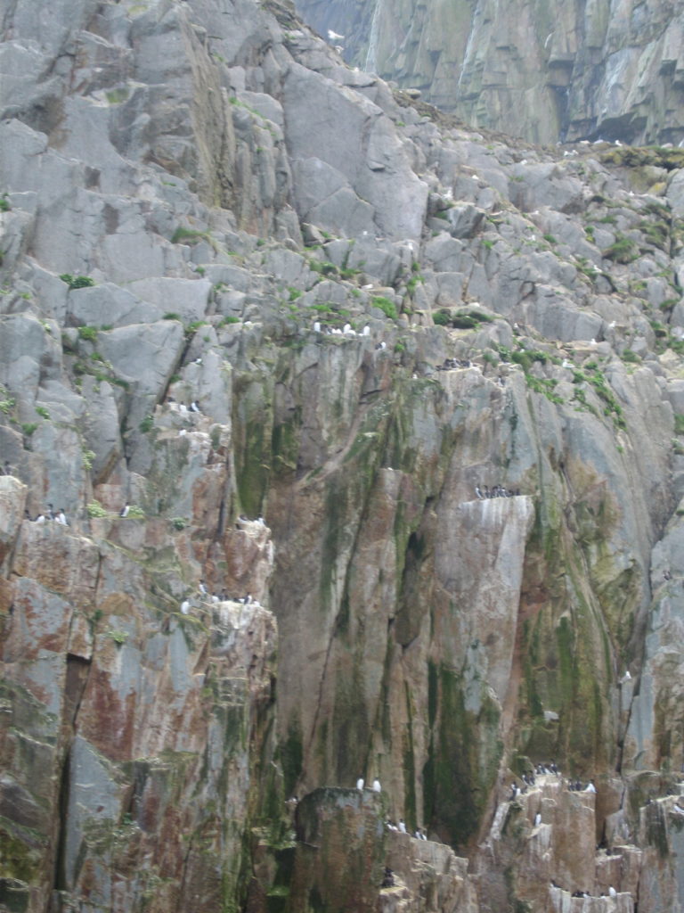 St Kilda Scotland