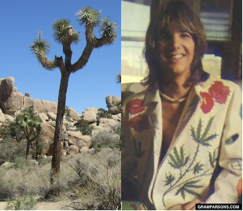 Joshua Tree Park/Gram Parsons