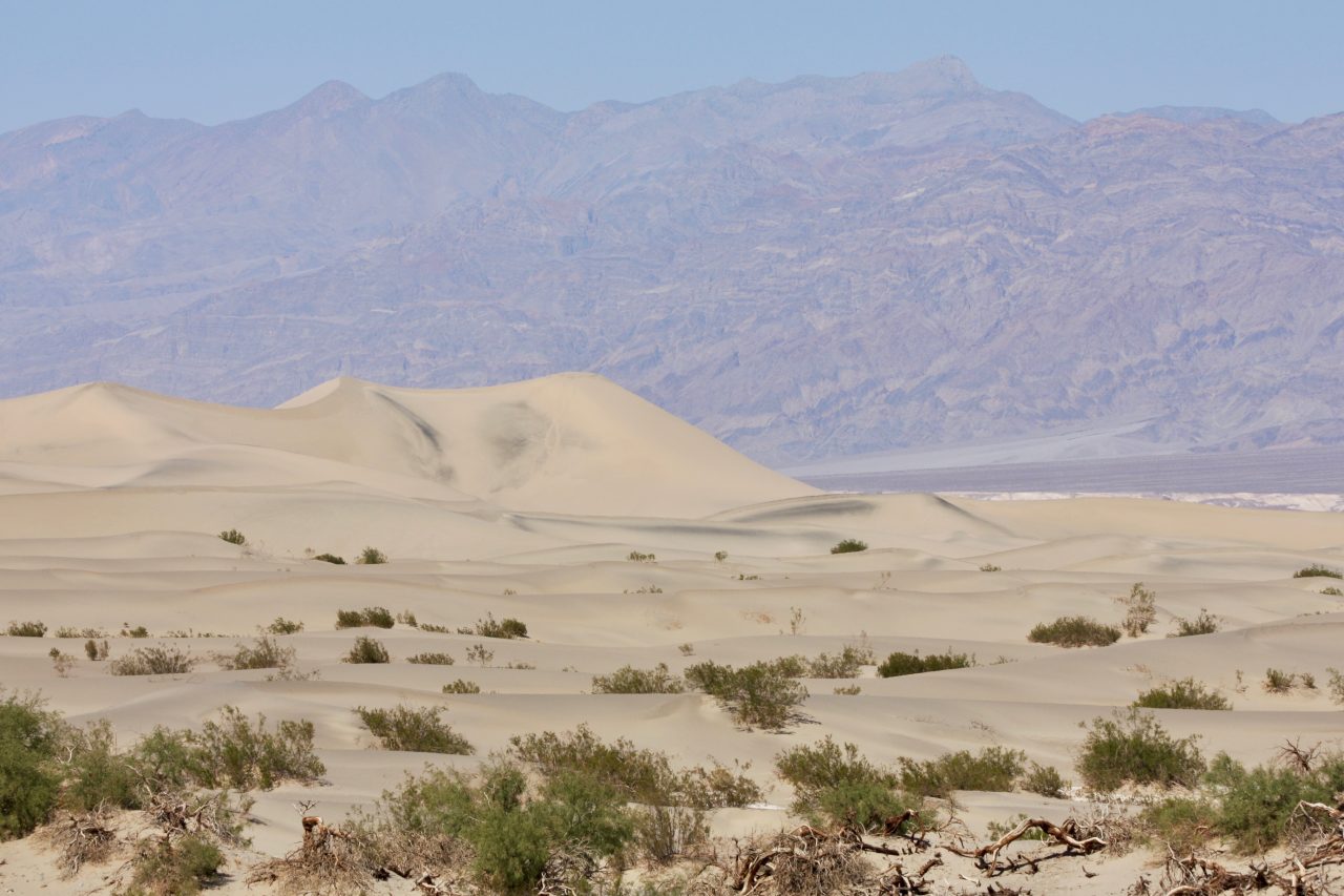 Death Valley sand dunes