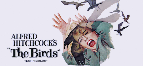 The Birds poster