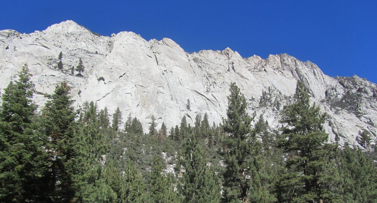 Lone Pine peaks and forest