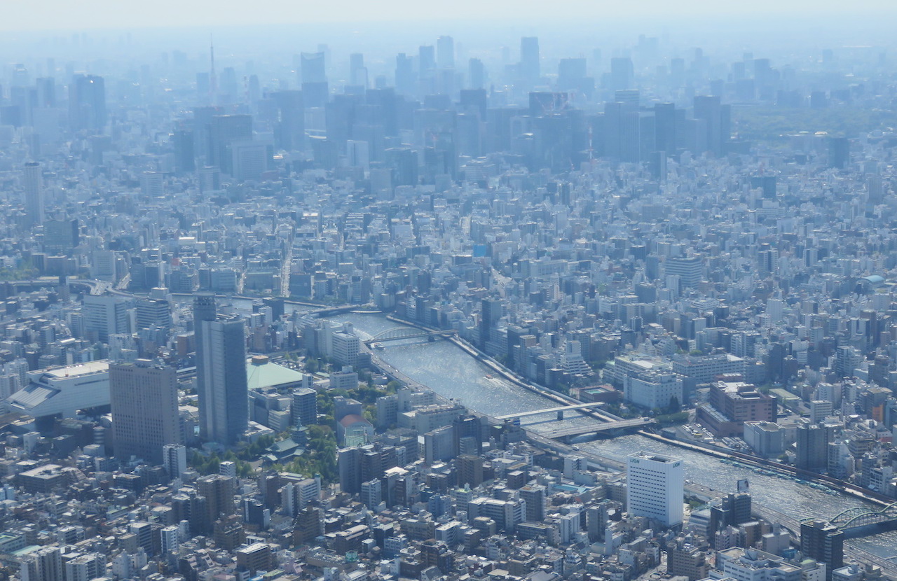 Skytree view