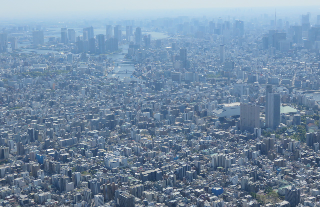 Skytree view