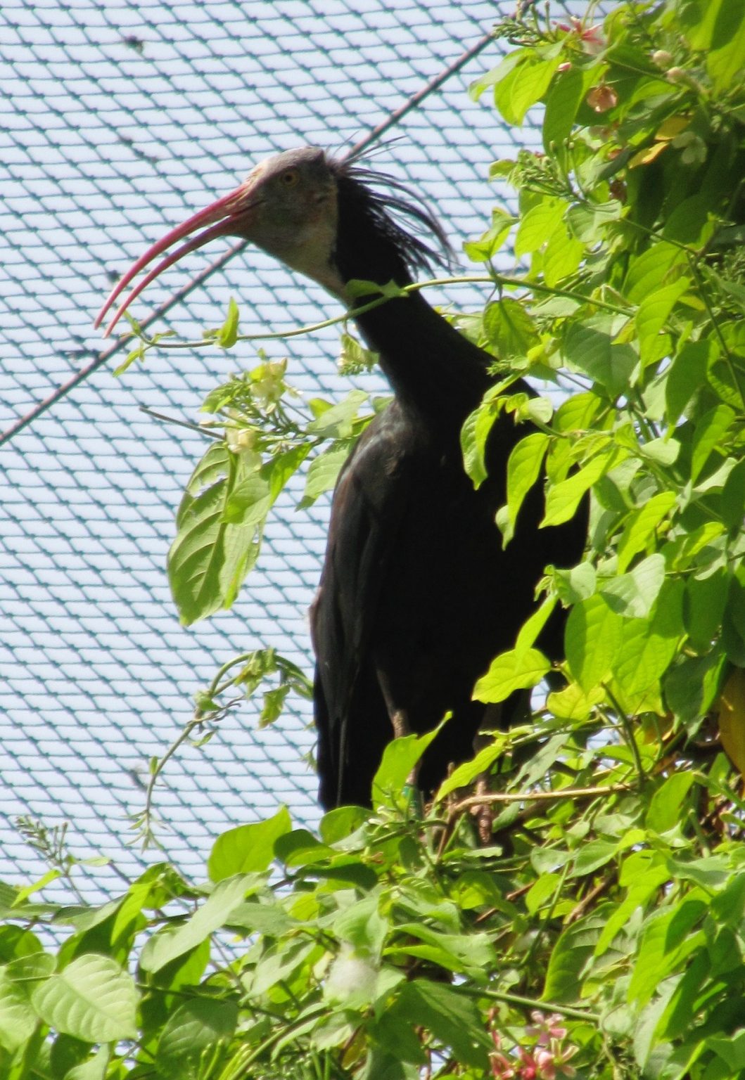 private zoo experience dubai