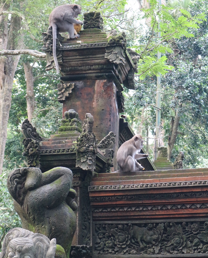 Monkey temple in Ubud