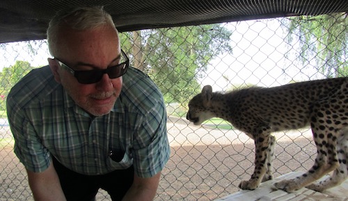 Colin with cheetah cub