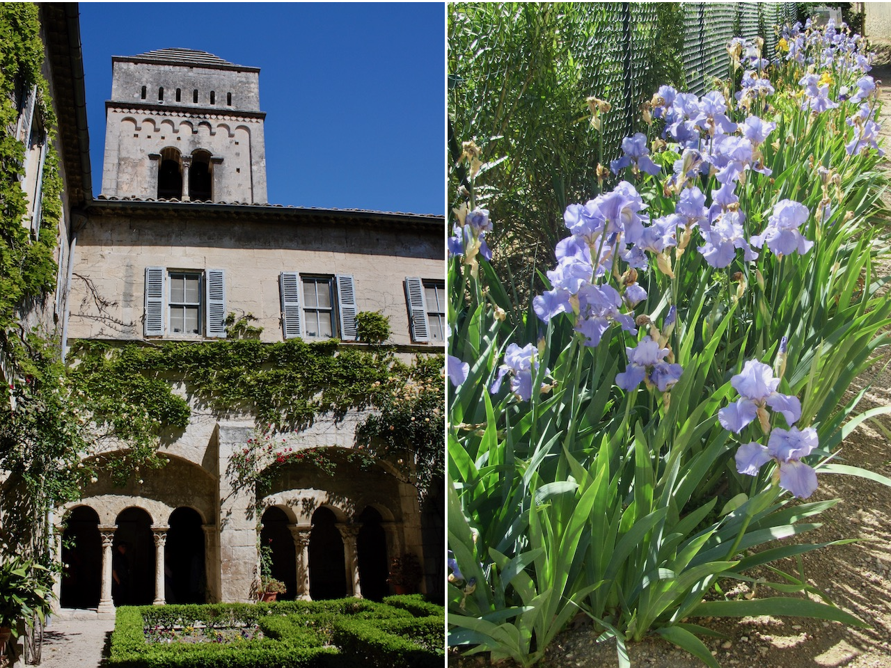 The asylum, and irises in the grounds