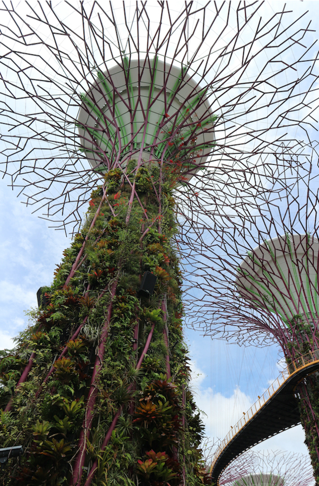 Gardens by the Bay