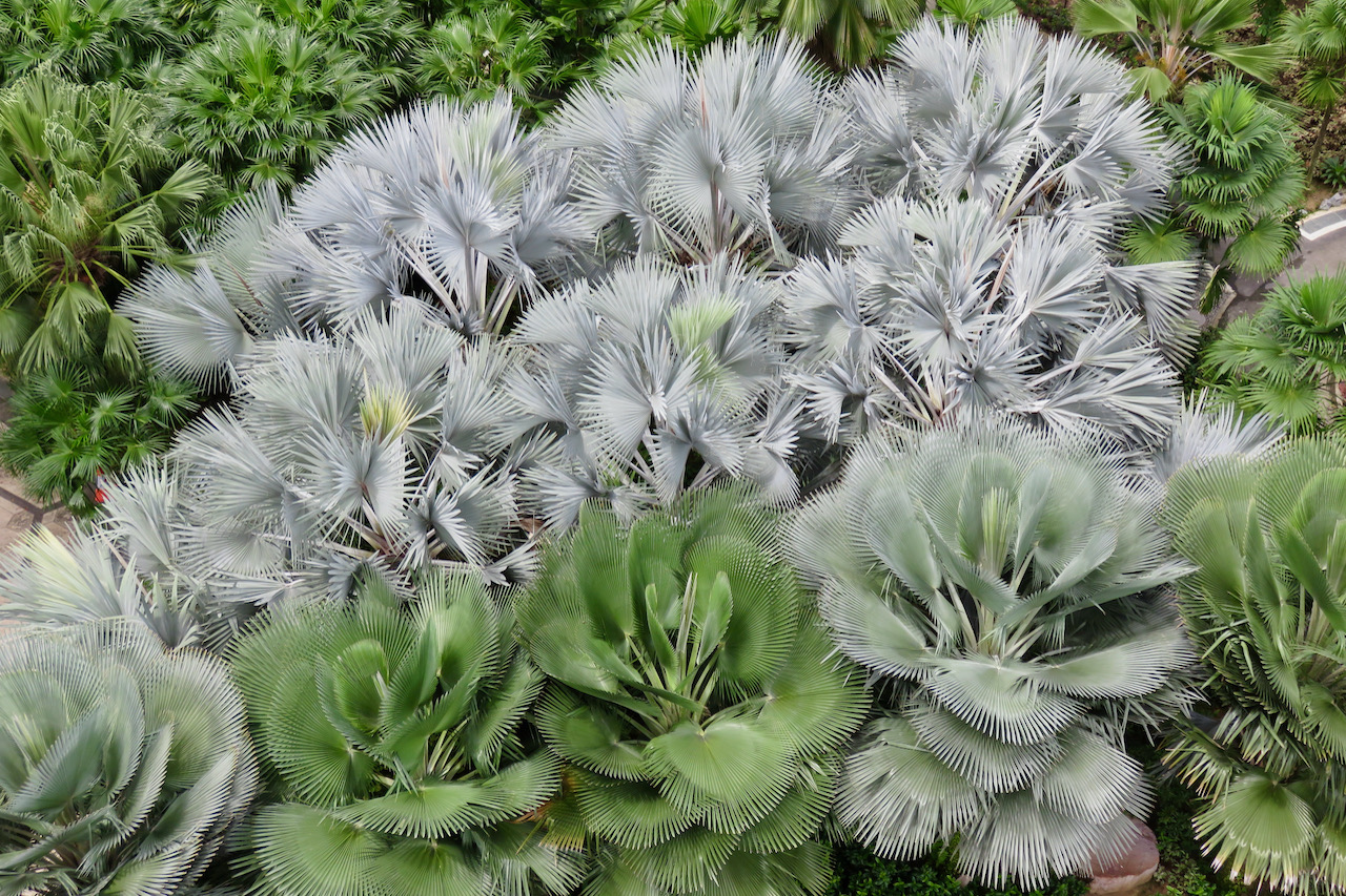 Gardens by the Bay