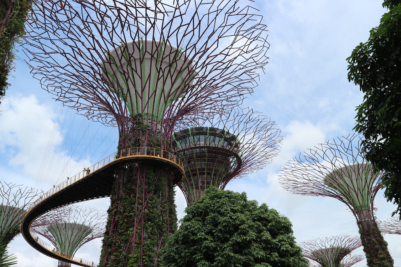 Gardens by the Bay