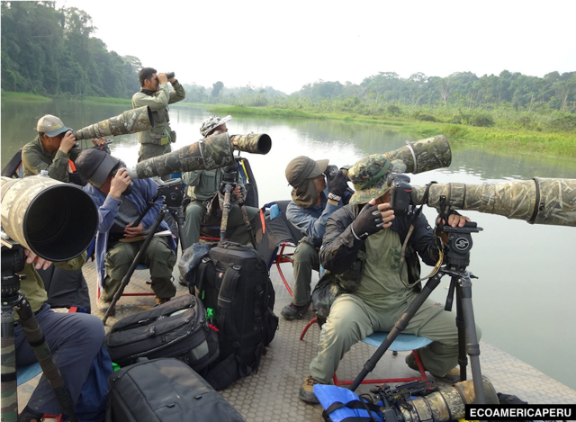 Ethical birding