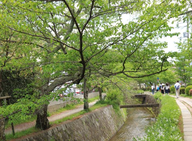 Kyoto: Canal