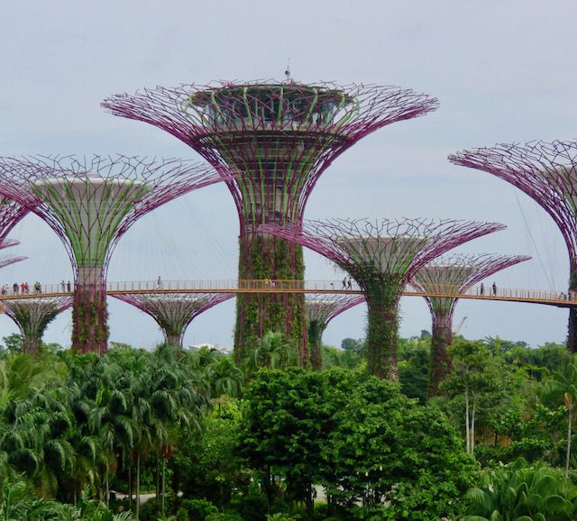 Gardens by the Bay