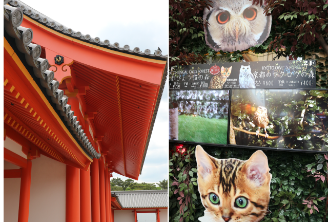 Temple in park; owl and cat cafe