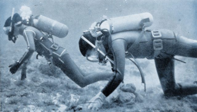 Diving: George Heriot's School divers